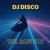 Обложка DJ Disco - We Can Fly
