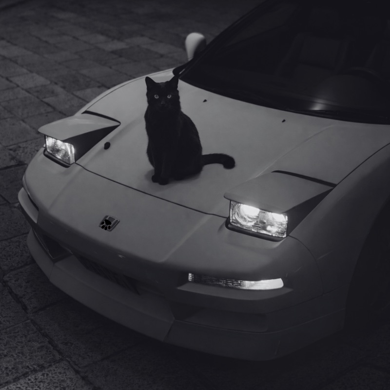 Обложка supwel - "not alone" (chill, wave vibe)