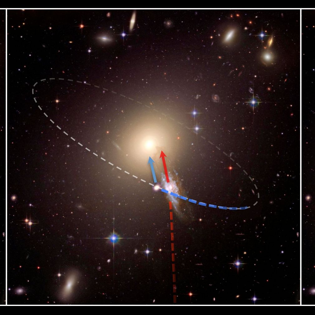 Обложка Spriticatcher - Galactik Flies