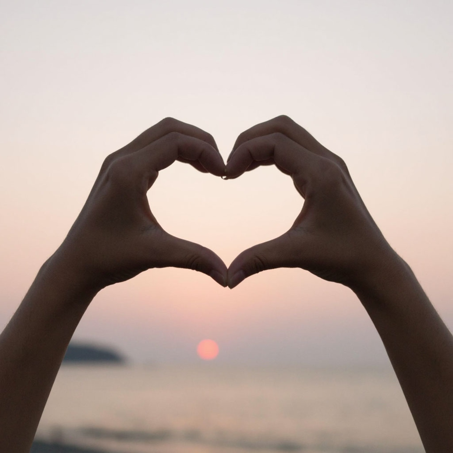 Обложка Сергей Видов - Чувства