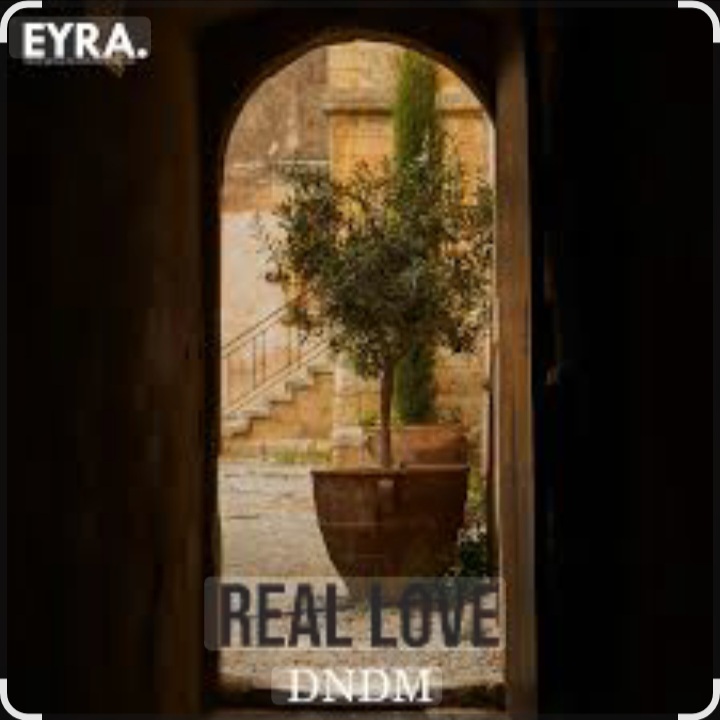 Обкладинка DNDM - Real Love