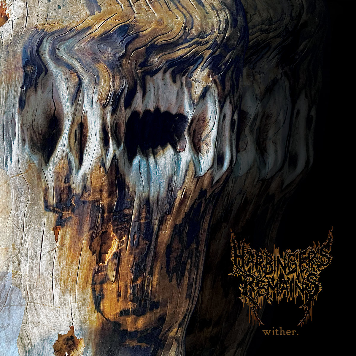 Обложка Harbinger's Remains - Antarctica