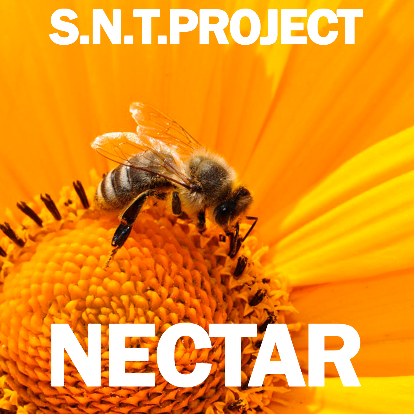 封面 S.N.T.Project - Nectar