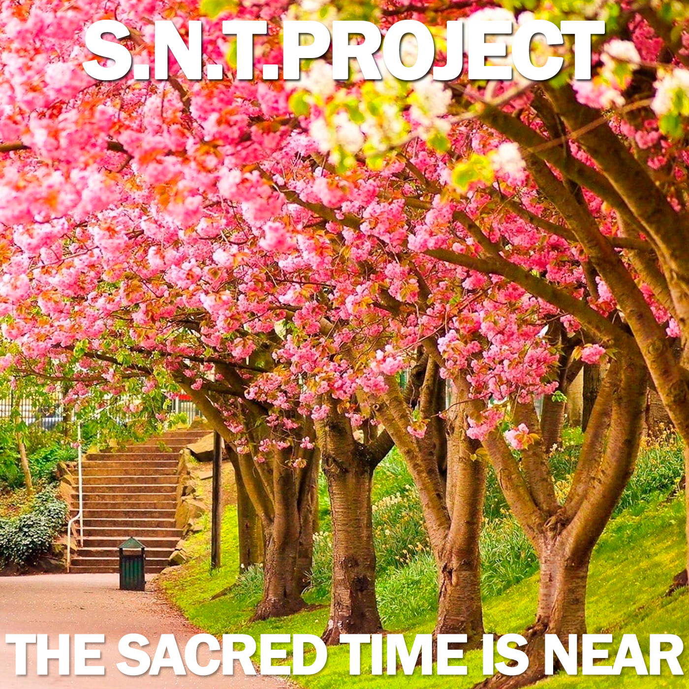 封面 S.N.T.Project - The Sacred Time is Near