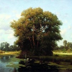 Обложка Льонок - Шумiла сосна i явiр