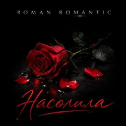 Обложка ROMAN ROMANTIC - Насолила