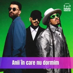 Обложка Smiley & Alex Velea & Connect-R. - Anii in care nu dormim (Speak Remix)