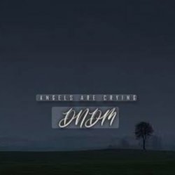 Обложка DNDM - Angels Are Crying