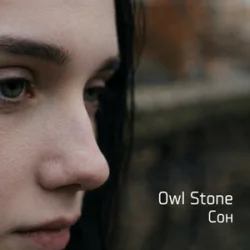 Обложка Owl Stone - Сон