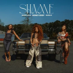 Обложка Honey Bxby & Queen Naija & BunnaB - Shame