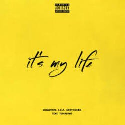 Обложка Эндшпиль feat. TumaniYO - It's My Life