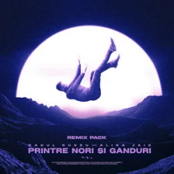 Обложка Raoul Russu & Alina Jais - Printre nori si ganduri (Jayraa Remix)