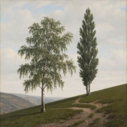 Pochette Сергей Видов - Берёза и тополь