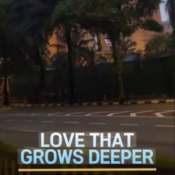 Обложка Lastbar90 - LOVE THAT GROWS DEEPER