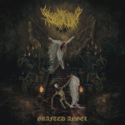 Обложка Dollhaver - Spitting Moths