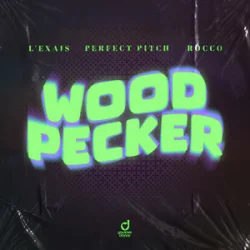 Обложка L'EXAIS & Perfect Pitch & Rocco - Woodpecker