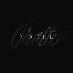 Обложка VodKe feat. 无 - information