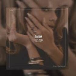 Обложка DNDM - Never