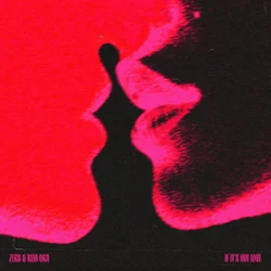 Обложка Zerb & Rita Ora - If It’s Not Love