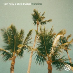 Обложка Tom Novy & Chris Trucher - Wanderer