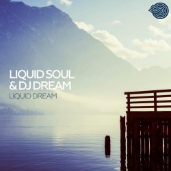 Обложка NE DALEN - Liquid Dream
