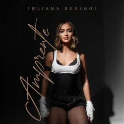 Обложка Iuliana Beregoi - Haos si iubire