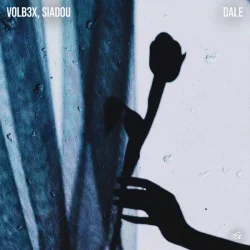 Обложка VOLB3X & Siadou - Dale