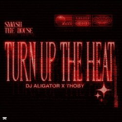Обложка DJ Aligator & Thoby - Turn Up The Heat