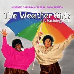 Обложка Weather Girls - It's Raining Men
