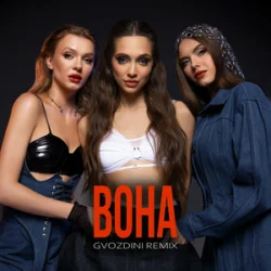 Обложка Mirami - Вона (Gvozdini Remix)