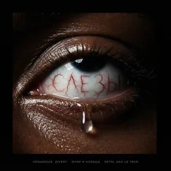 Обложка VONAMOUR, Zivert, очки и кольца, Detsl aka Le Truk - Слёзы