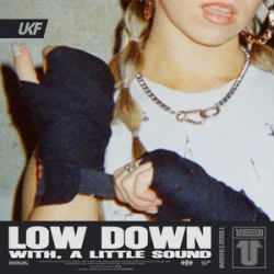 Обложка Rova & A Little Sound - Low Down