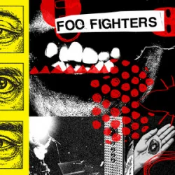 Обложка Foo Fighters - Window