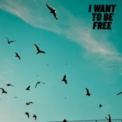 Обложка Roberto Pedoto - I Want To Be Free