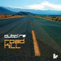 Обложка Dubfire - Roadkill (EDX’s Acapulco At Night Remix)