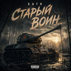 Обложка Бвтя - Старый воин