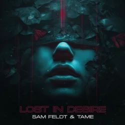Обложка Sam Feldt & TAME - Lost In Desire