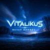 Обкладинка ViTaLiKuS - Ветер принёс... ViTaLiKuS - Ветер принёс...