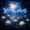 Обкладинка ViTaLiKuS - Я тебе ничего не скажу… ViTaLiKuS - Я тебе ничего не скажу…