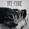 Portada Ice Cube - Freedumb Ice Cube - Freedumb