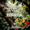 Cover Jerbi - Fav Tracks Mix: ESSENTIAL || Uplifting Trance Mix Jerbi - Fav Tracks Mix: ESSENTIAL || Uplifting Trance Mix
