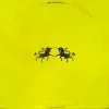 Обложка The Chainsmokers & Oaks - Wild The Chainsmokers & Oaks - Wild