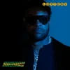 Shaggy & Rayvon - In The Name of Love