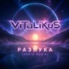ViTaLiKuS - Разлука (Radio Remix)