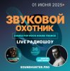 Звуковой Охотник - Радиошоу Выпуск #36