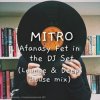 MITRO - Afanasy Fet in the DJ Set (Lounge & Deep House mix)