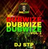 Portada Dj Stp - Mek You Wine Slow Dj Stp - Mek You Wine Slow