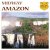 Обложка Midway - Amazon