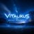 Обложка ViTaLiKuS - Ветер принёс...