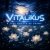 Обложка ViTaLiKuS - Я тебе ничего не скажу…